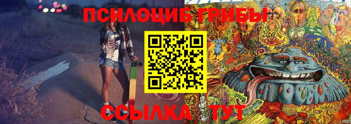 Пугачёв  Псилоцибиновые грибы GOLDEN TEACHER  купить закладку  Вход с VPN 