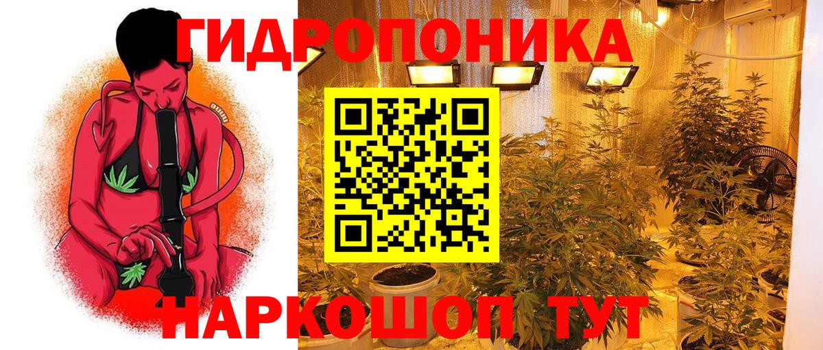 Бошки марихуана планчик Пугачёв
